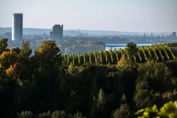 German Rail Holiday Bonn And The Rhine In Flames