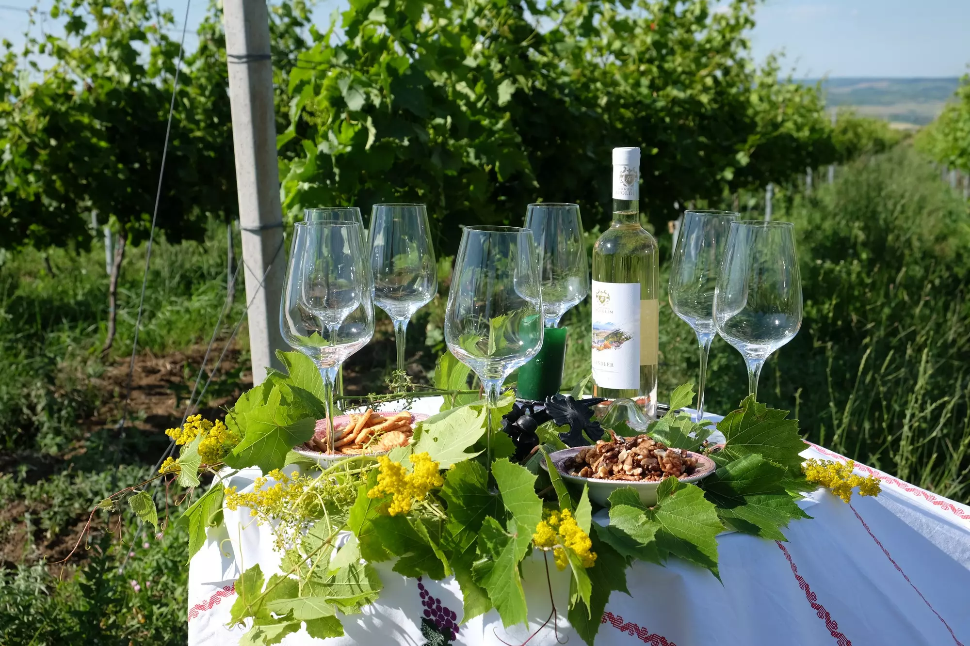 Small family winery, Apoldu de Sus, Romania - © Ramona Cazacu Winery