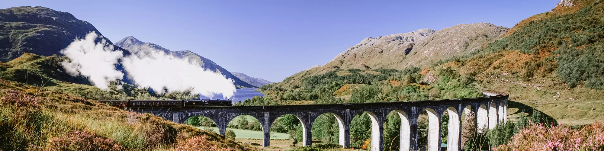 Steam train