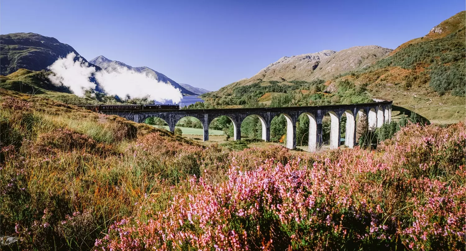 Steam train