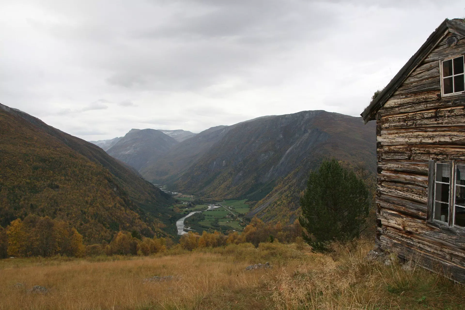 Landscape