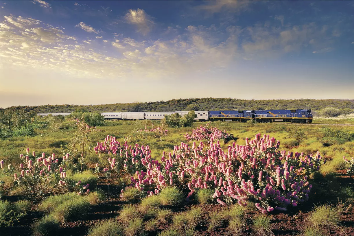 The Indian Pacific - © Great Southern Rail/Tourism Australia Train