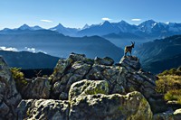 Bernese Oberland above Interlaken - © swiss-image.ch Lorenz/Andreas Fischer