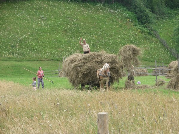 Haymaking