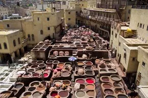 The famous Fes tannery