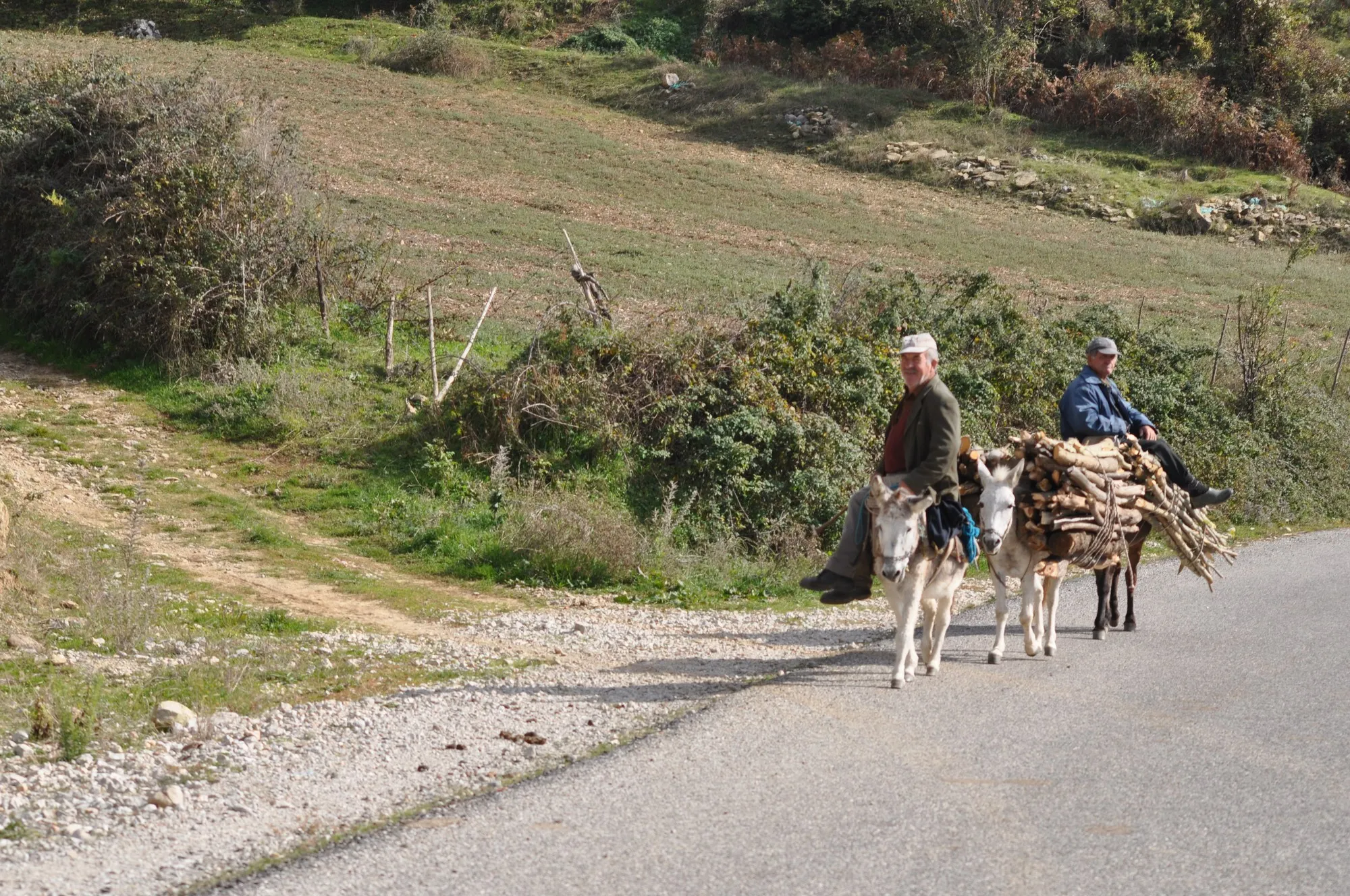 Horse and cart