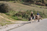 Rural Life in Albania - © Ramona Cazacu