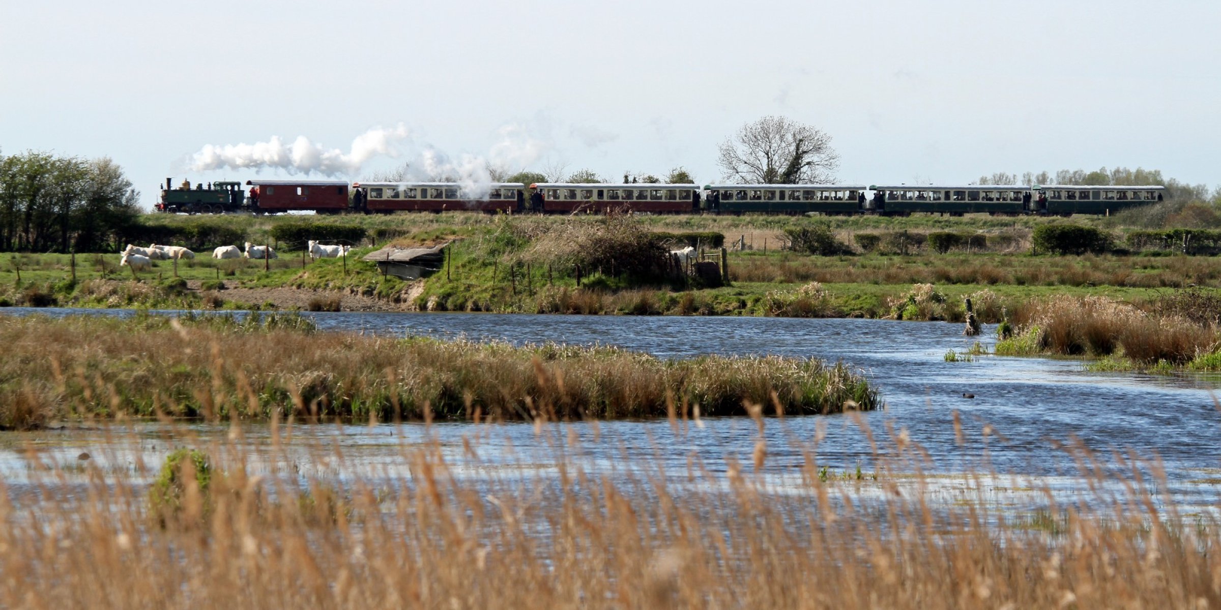 Steam train