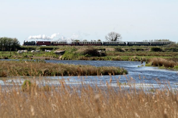 Steam train