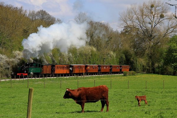 Steam train