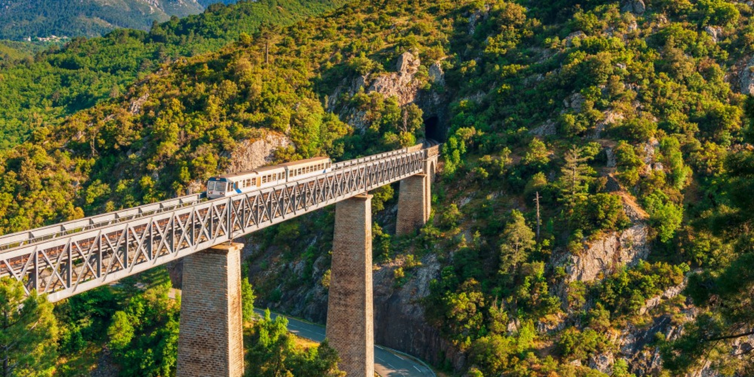Train