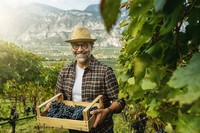 Valle Dell Adige - © Paulo Cipriani