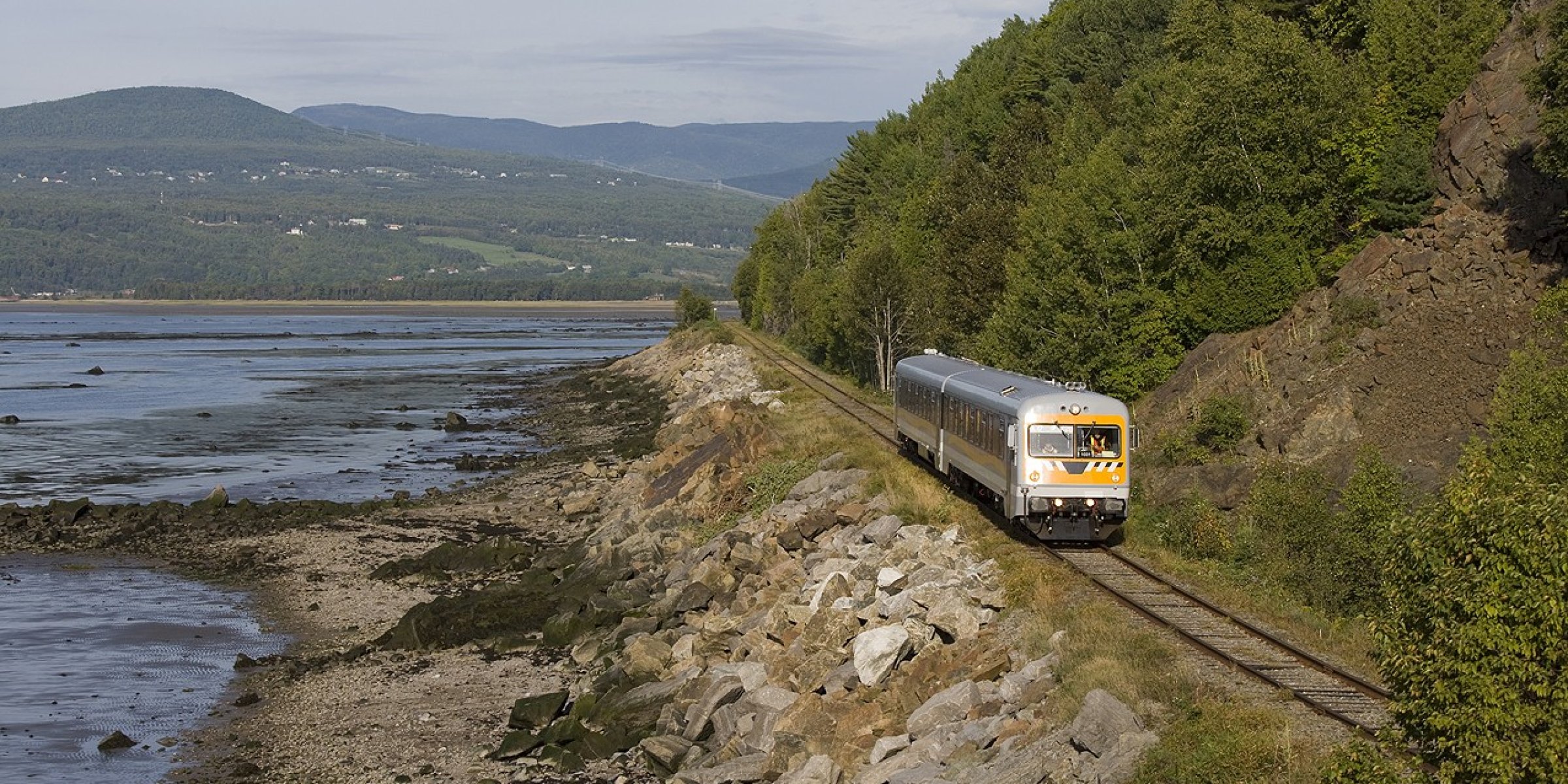 Train