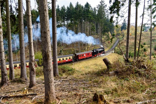 Steam train