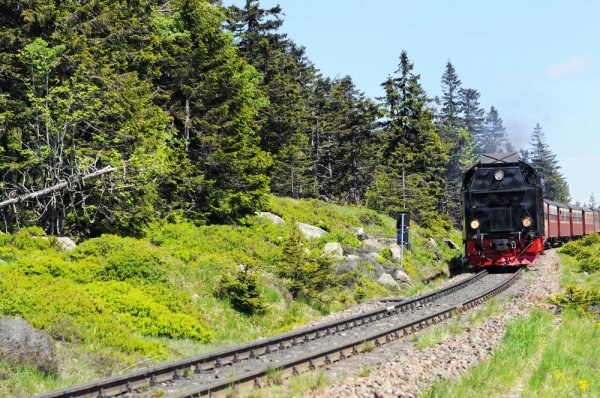 Steam train