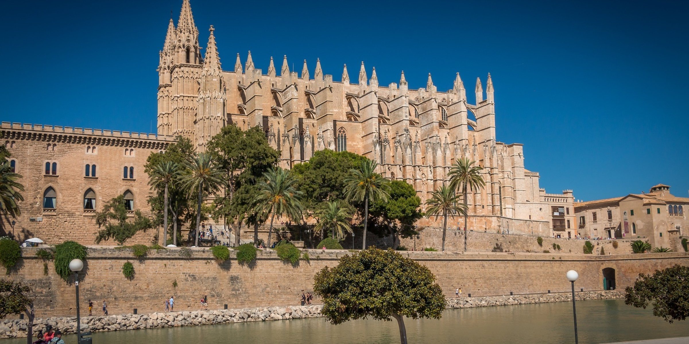 Palma