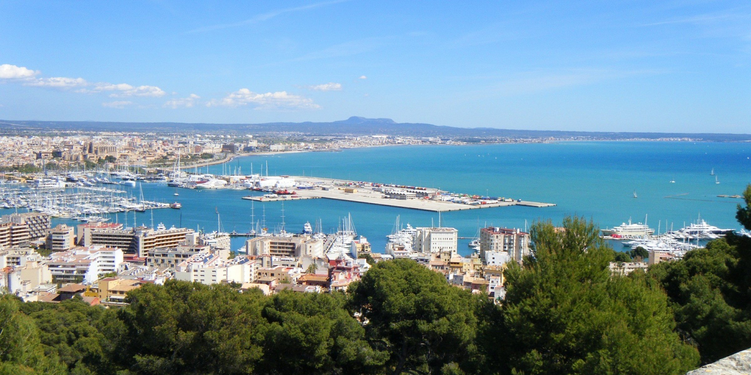 Palma