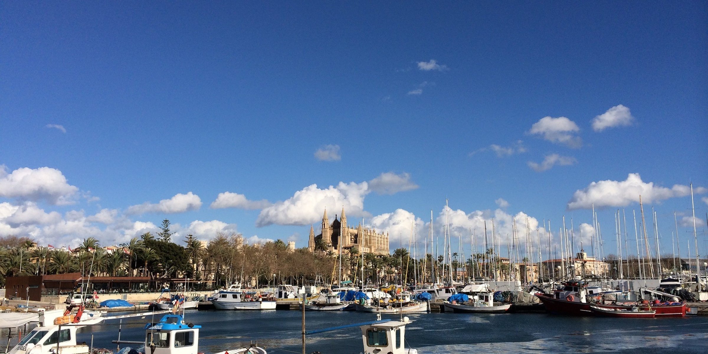 Palma