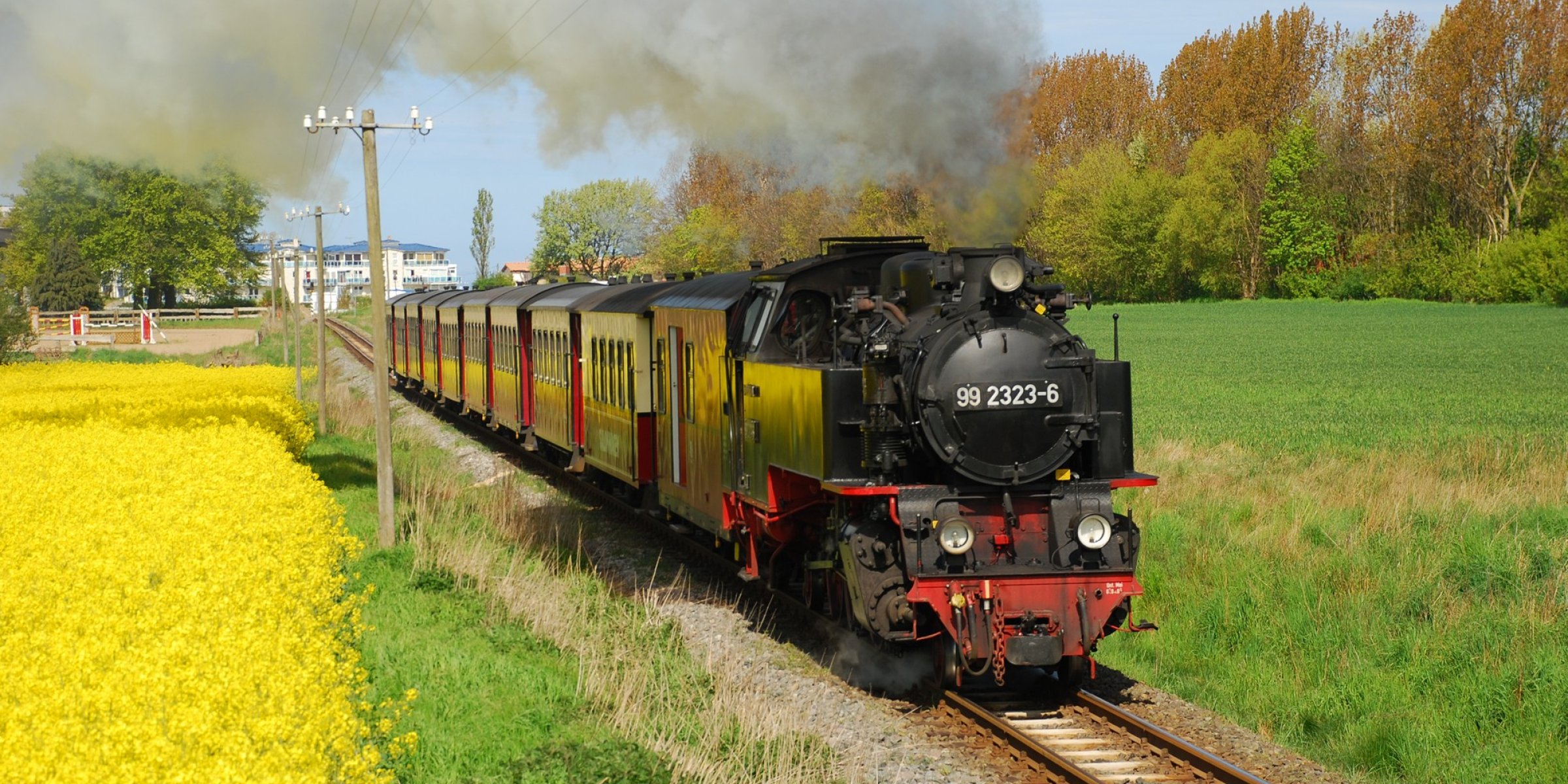 Steam train