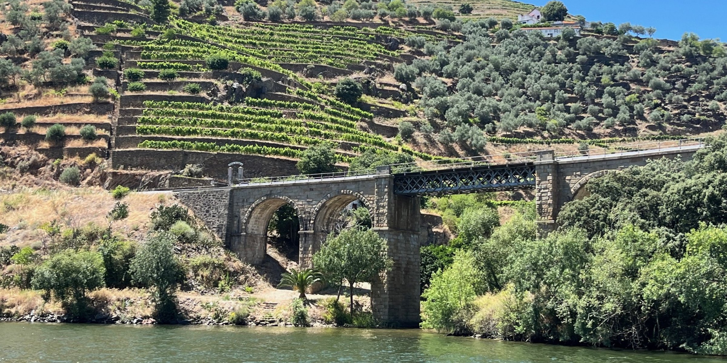 Bridge