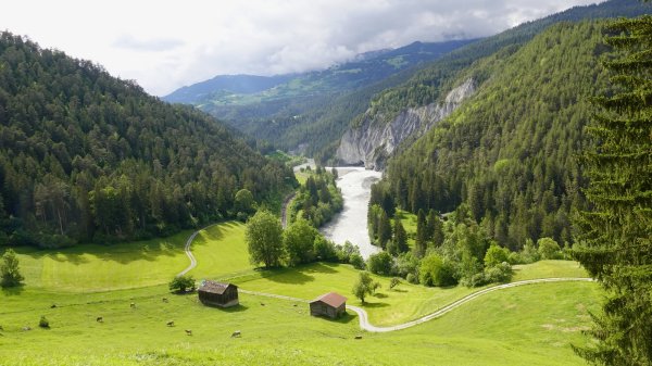 Rhine Gorge