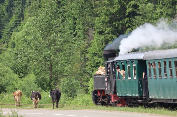 Steam train