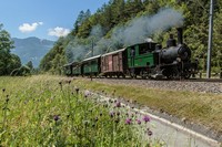 Dampfzug bei Malans - Swiss charter train