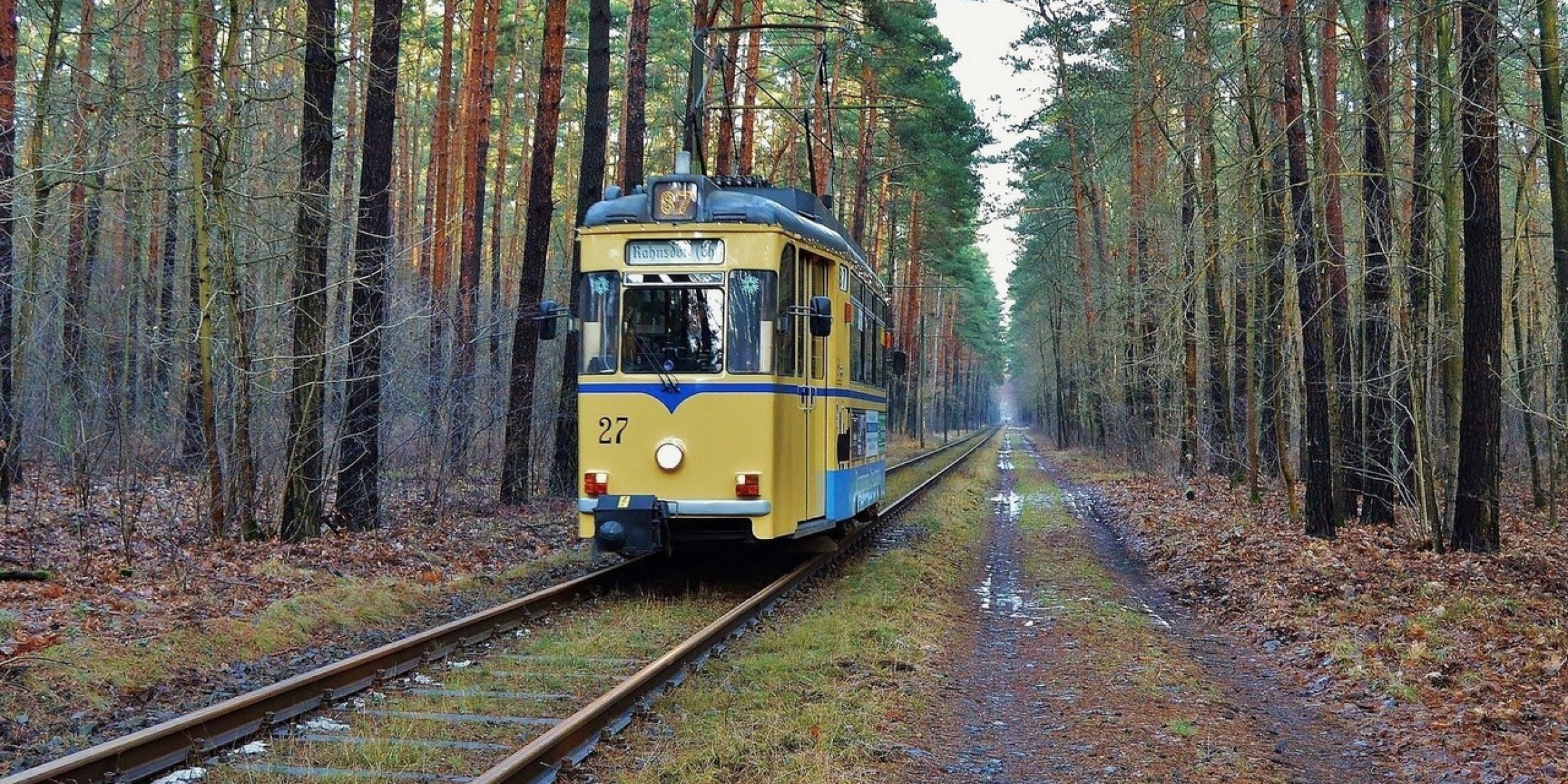 Train