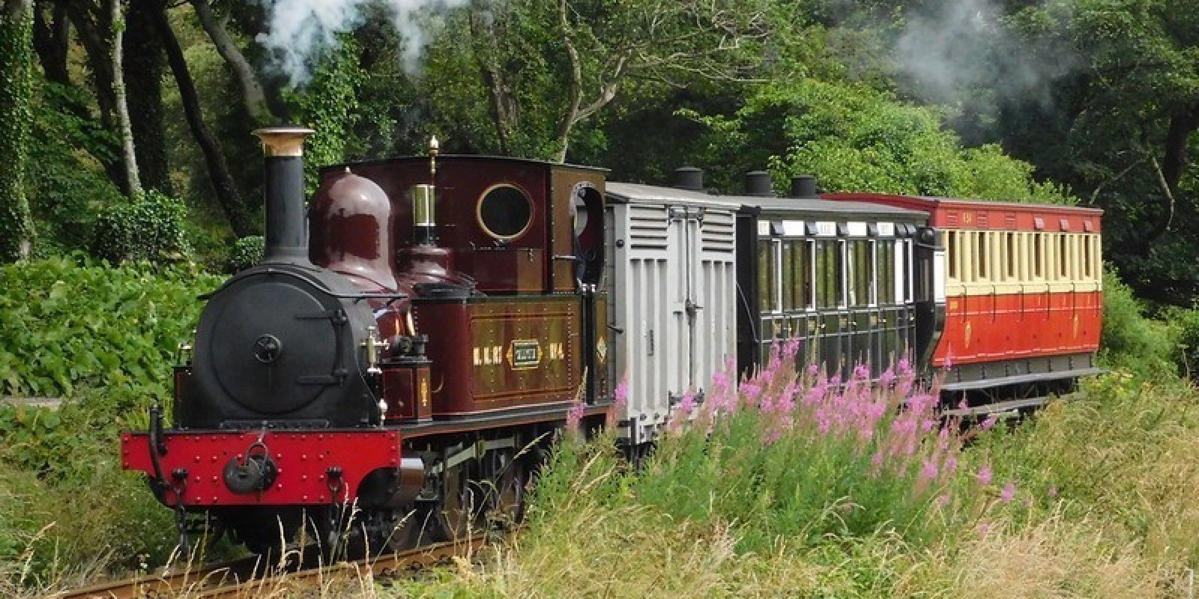 Steam train