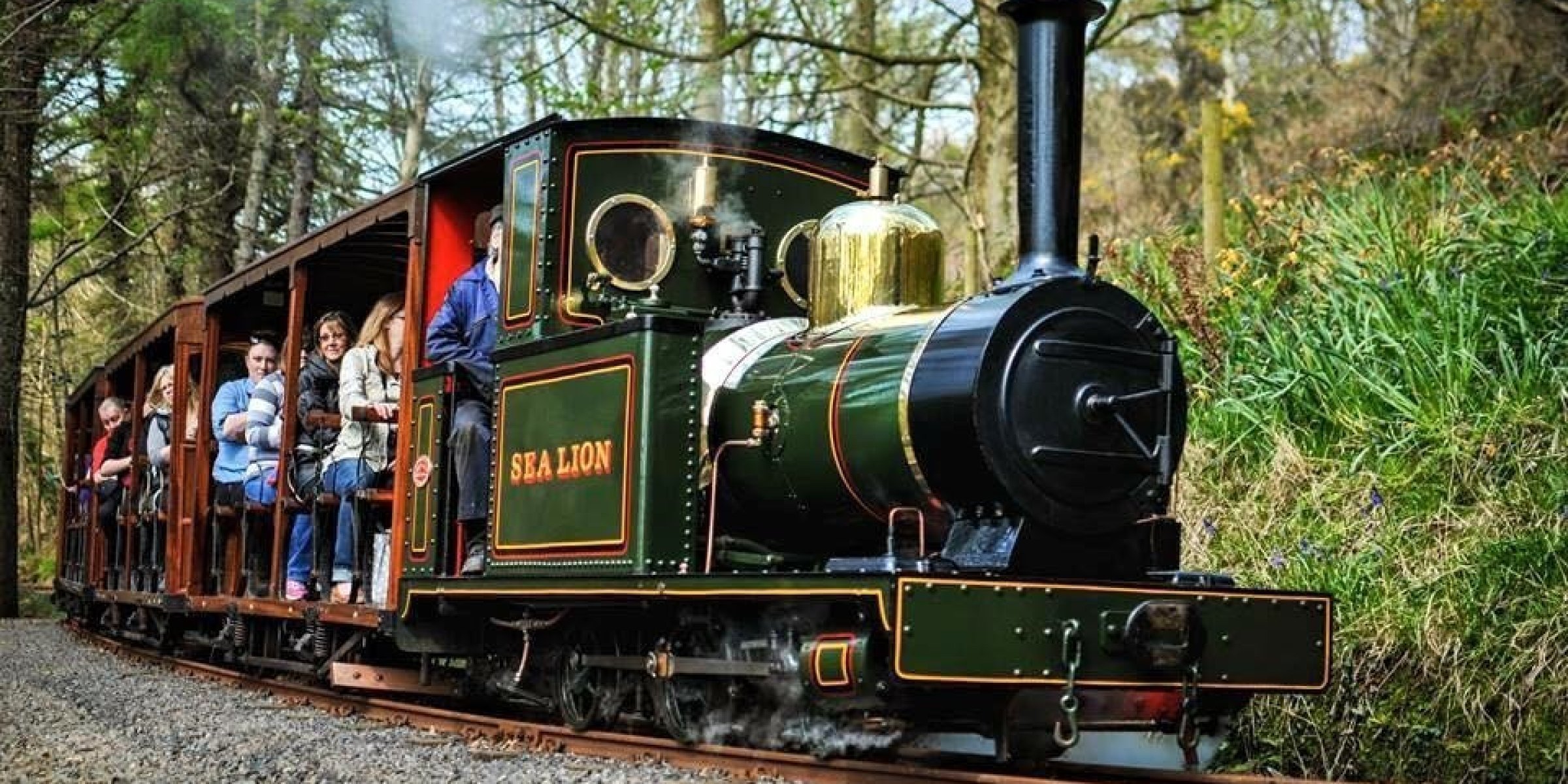 Steam train