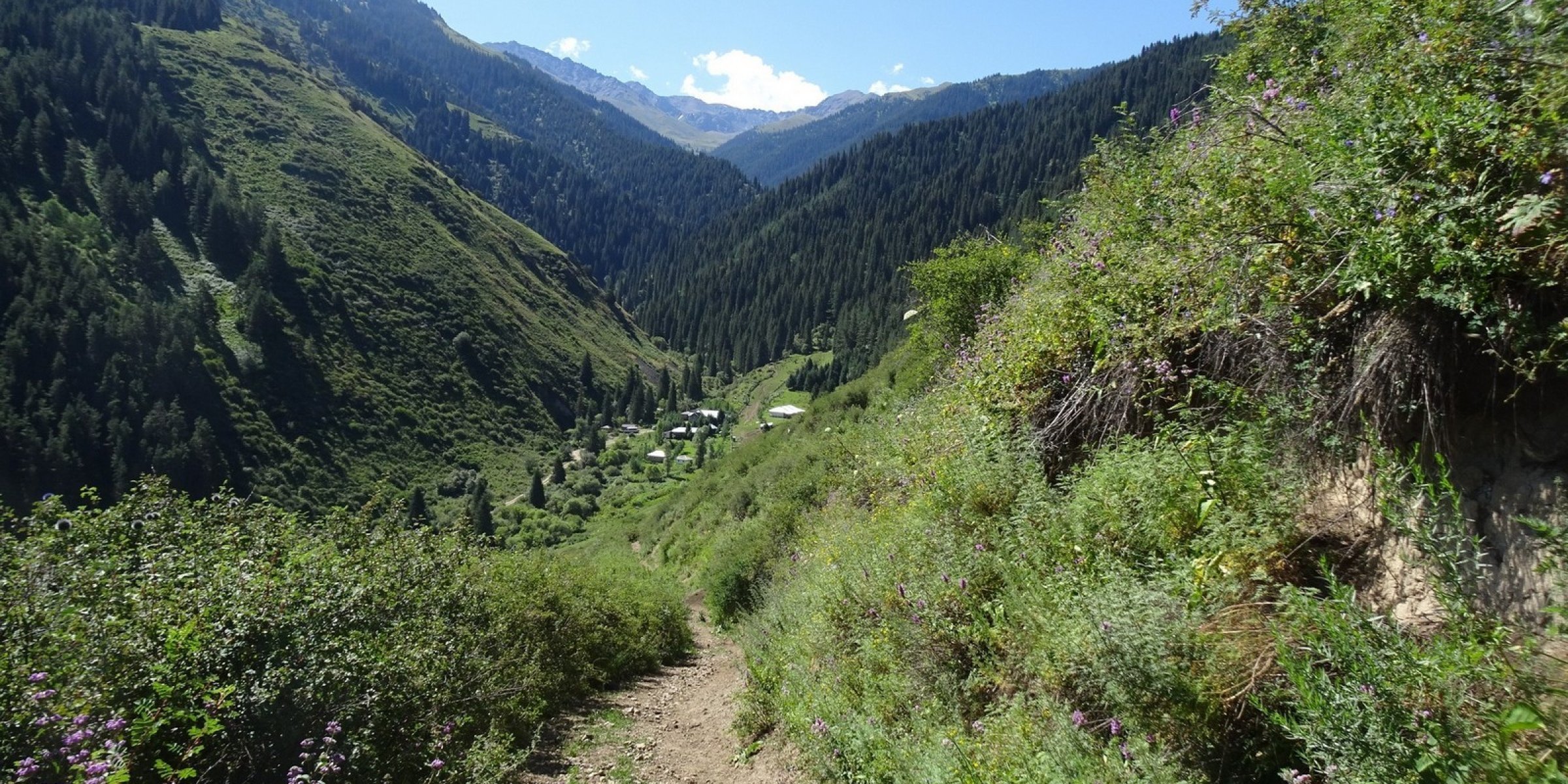 Valley