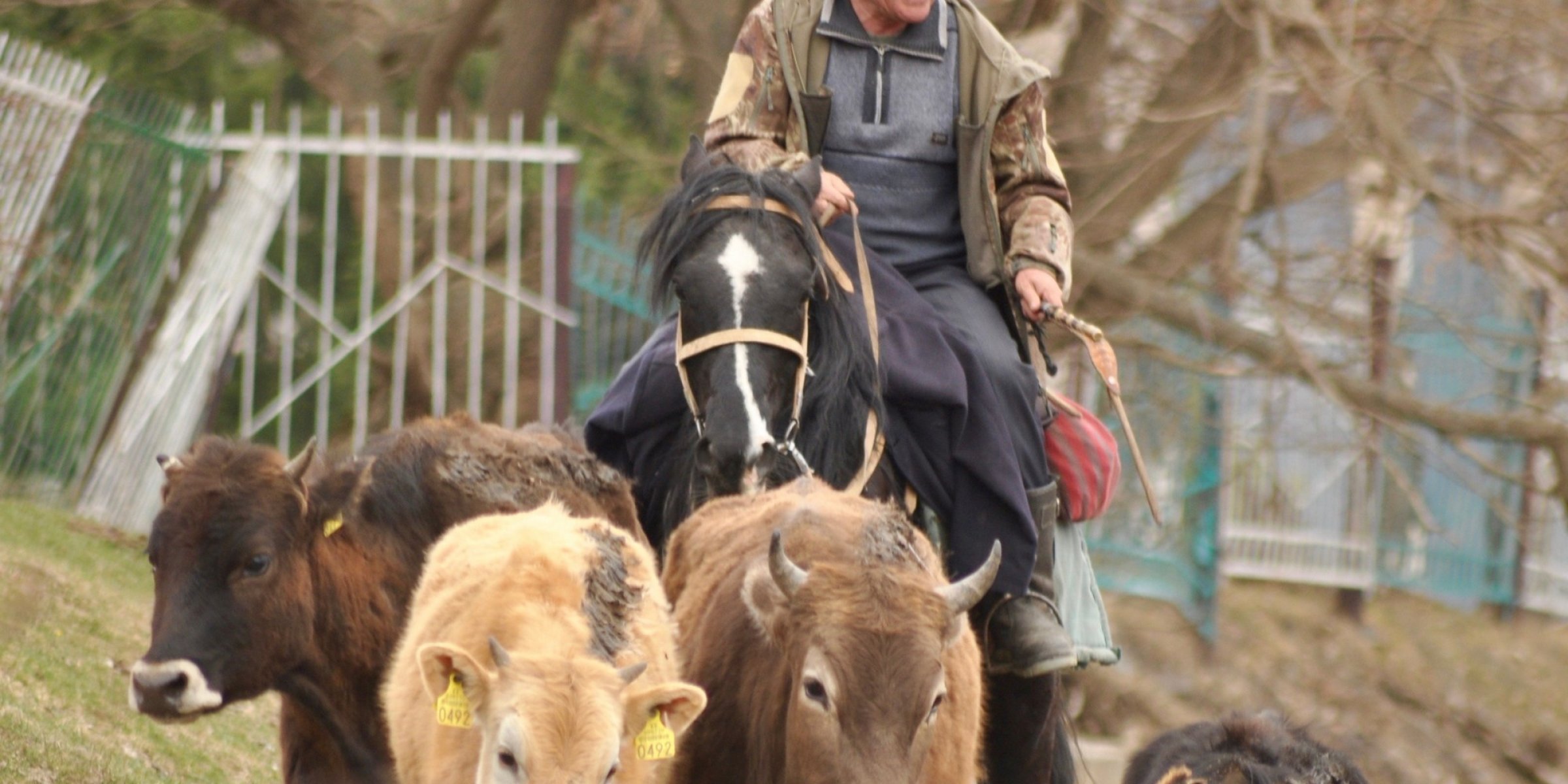 Farmer