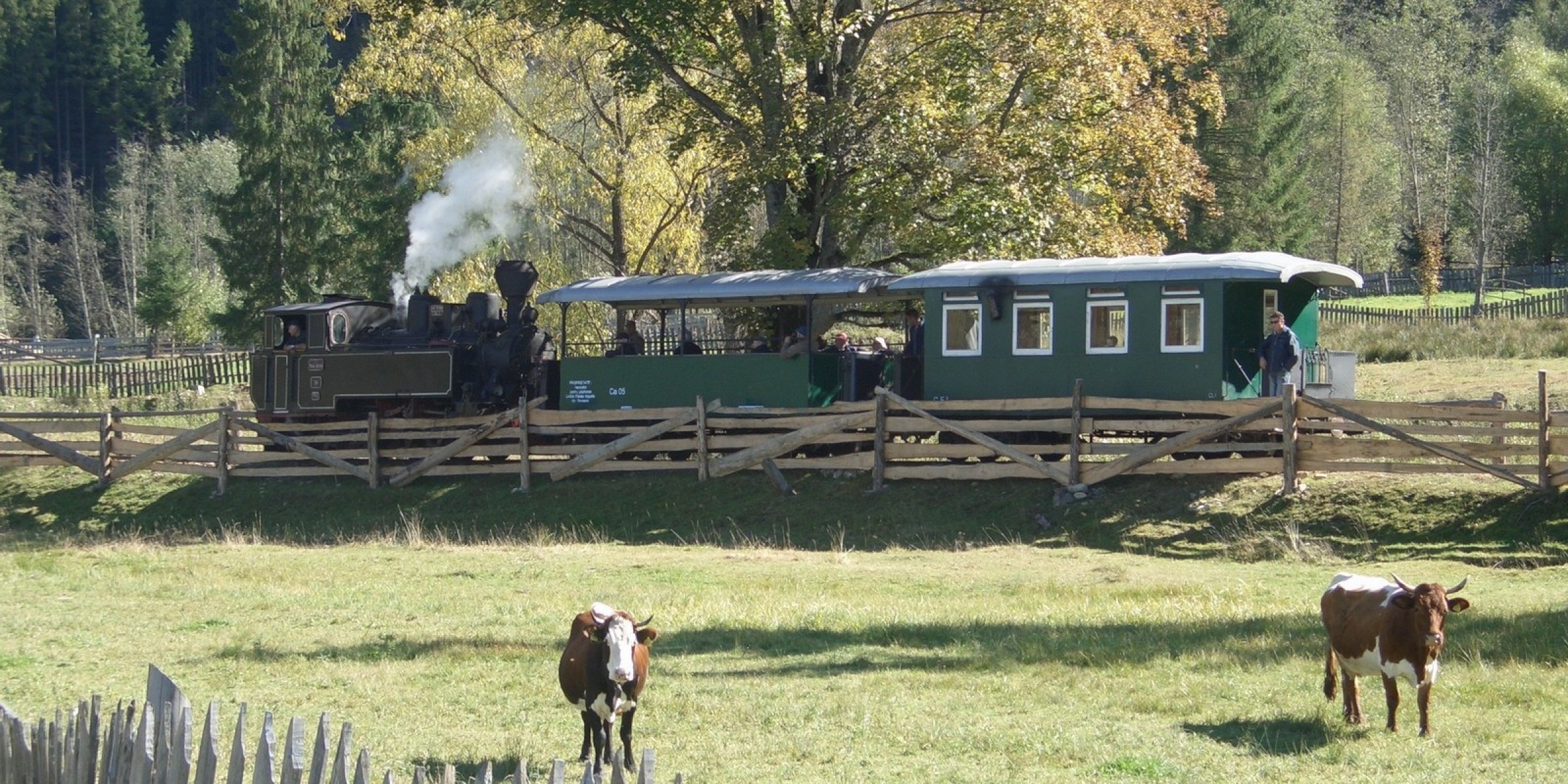 Steam train