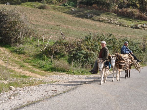 Albania