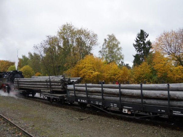 Logs