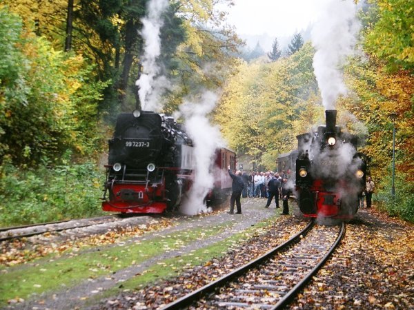 Steinerne Renne