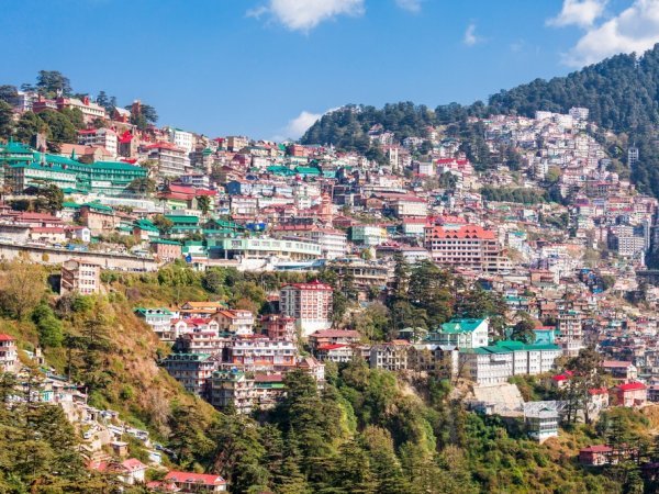 Shimla