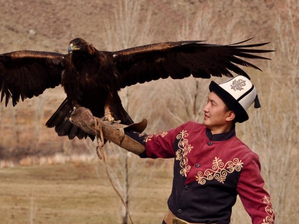Golden eagle