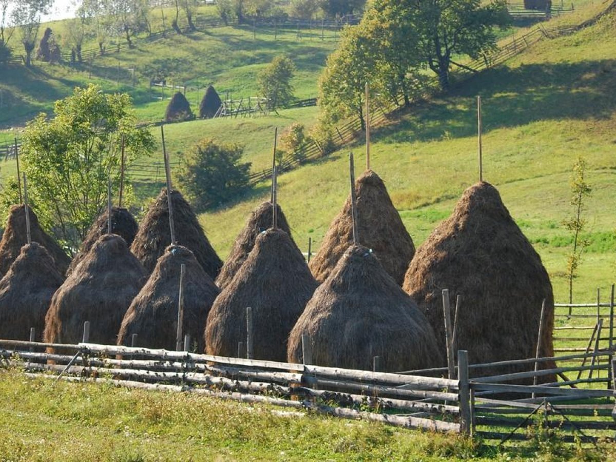 Romania Rual The Real, Rural Romania – Ffestiniog Travel
