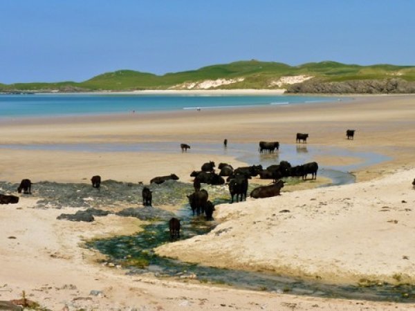 Balnakeil