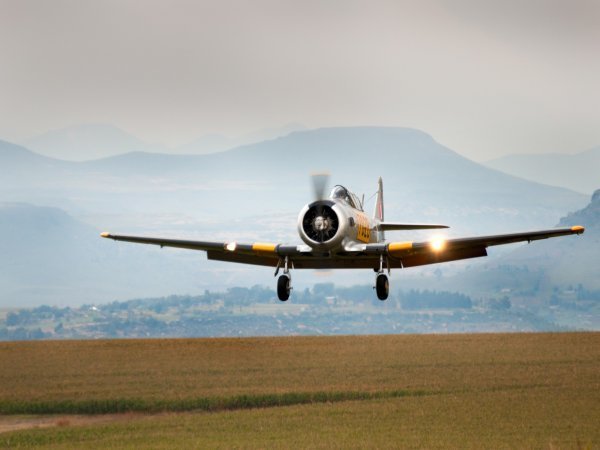 Harvard Landing