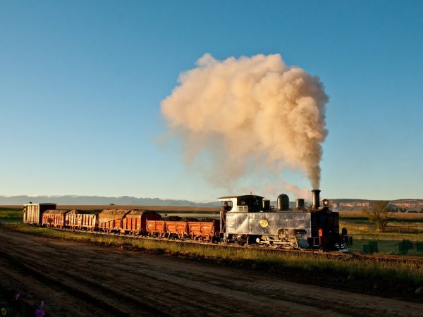 Train