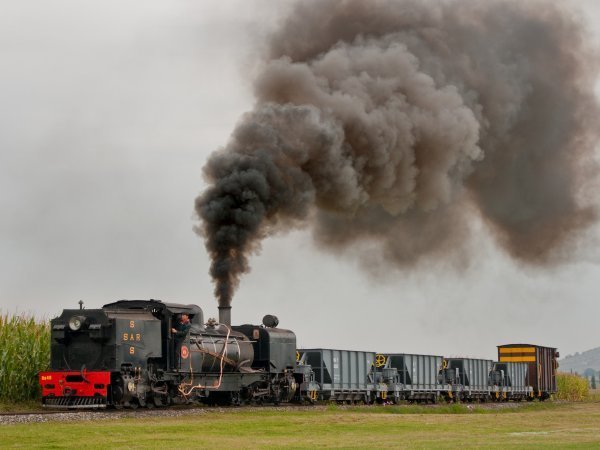 Train