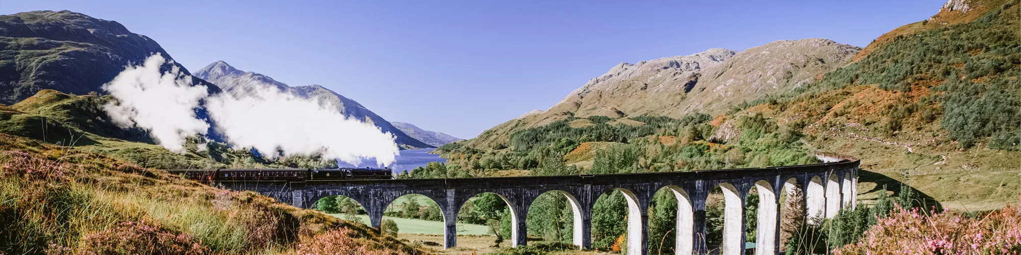 Steam train