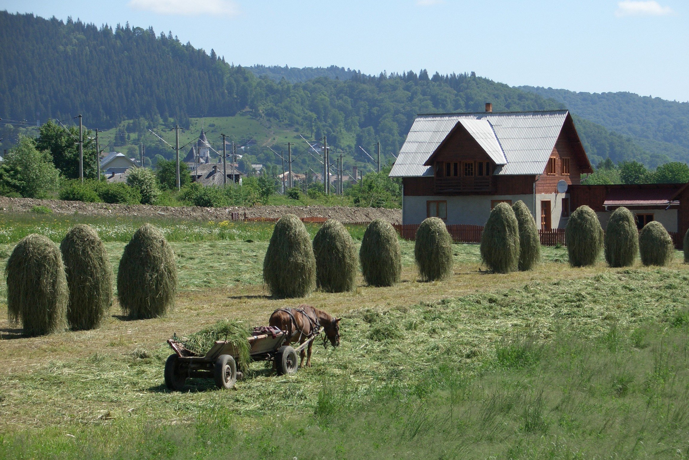Gura Humorului, Romania - © Alan Heywood Fields