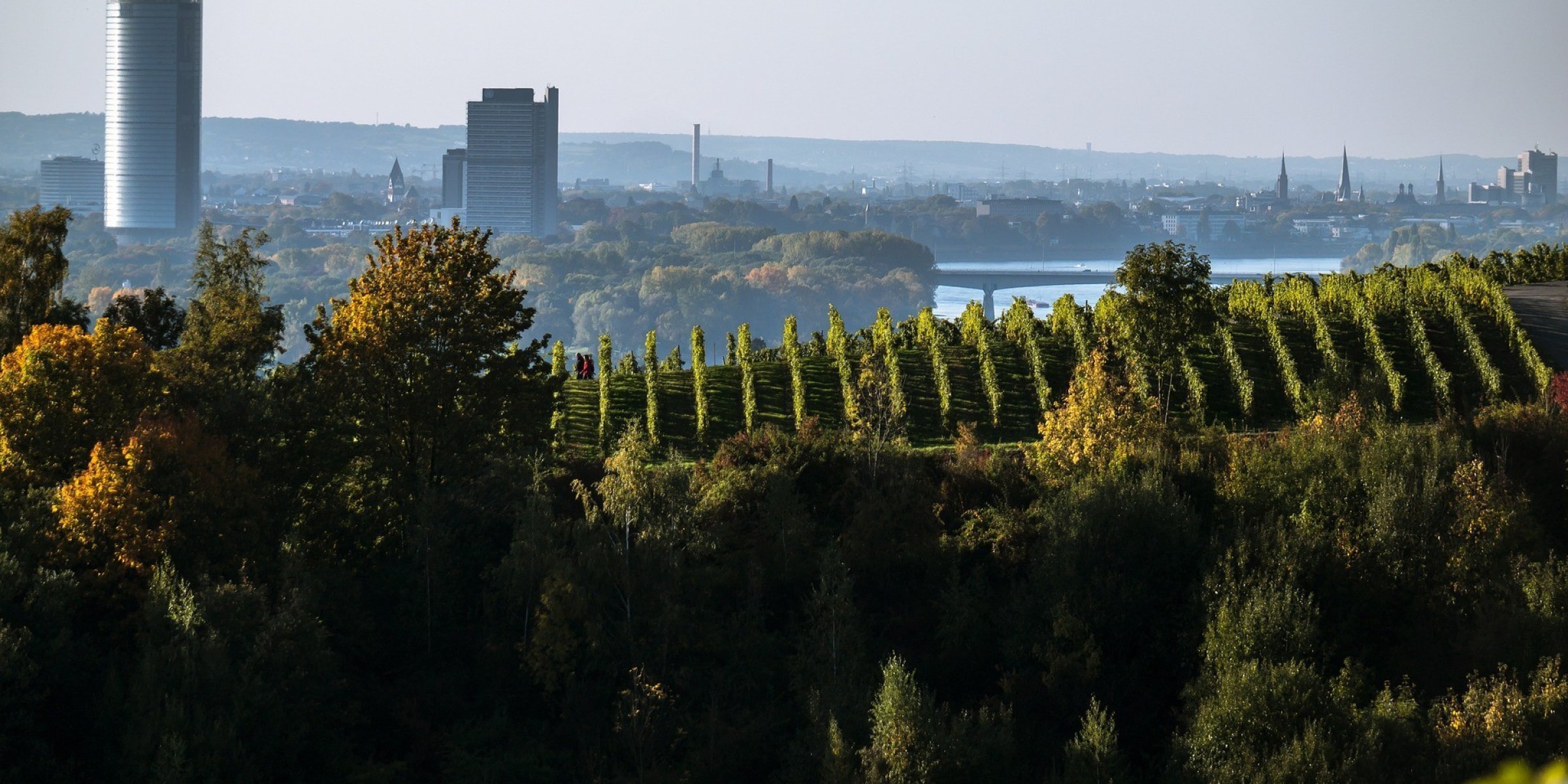 Bonn
