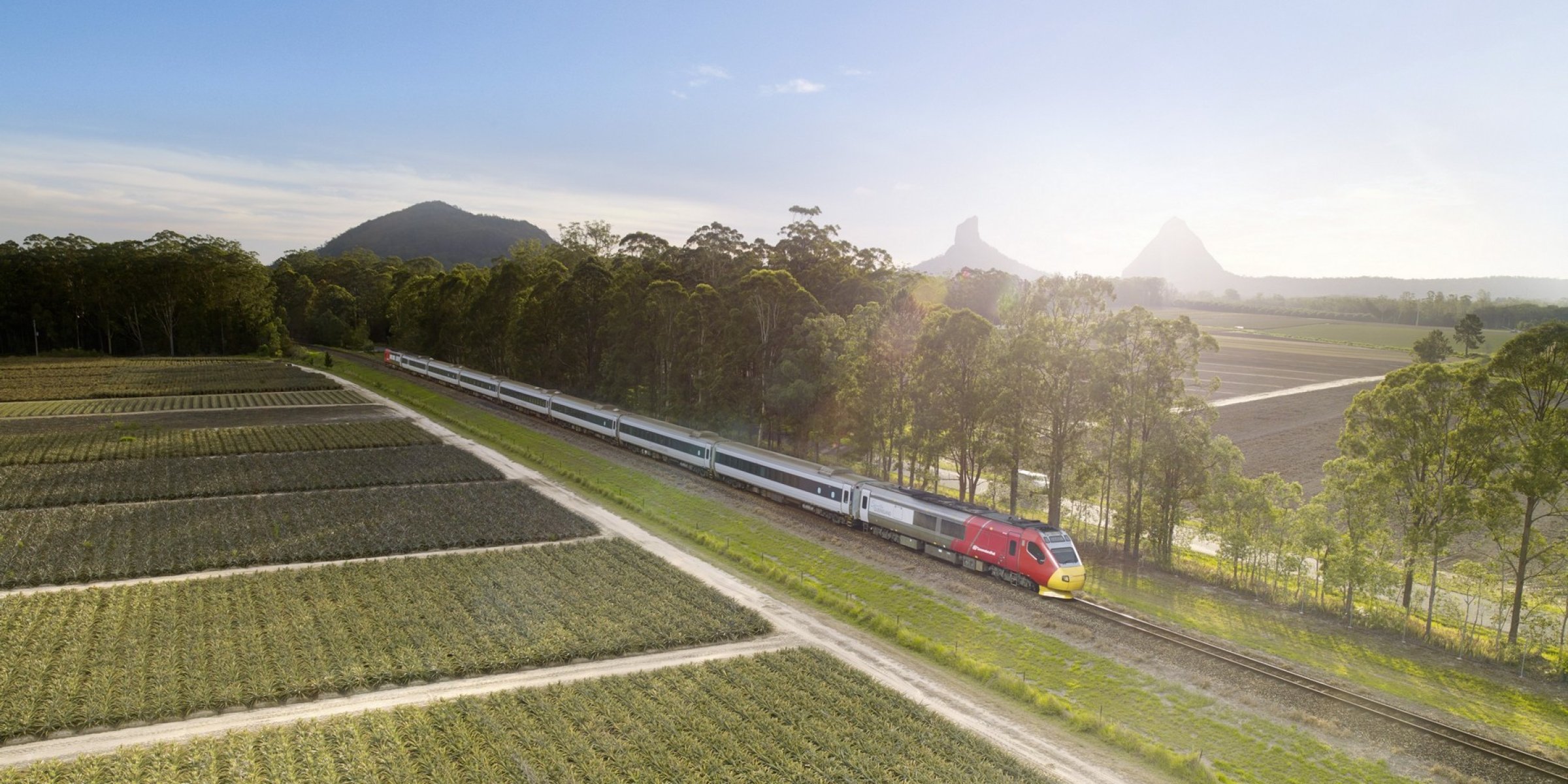 Train