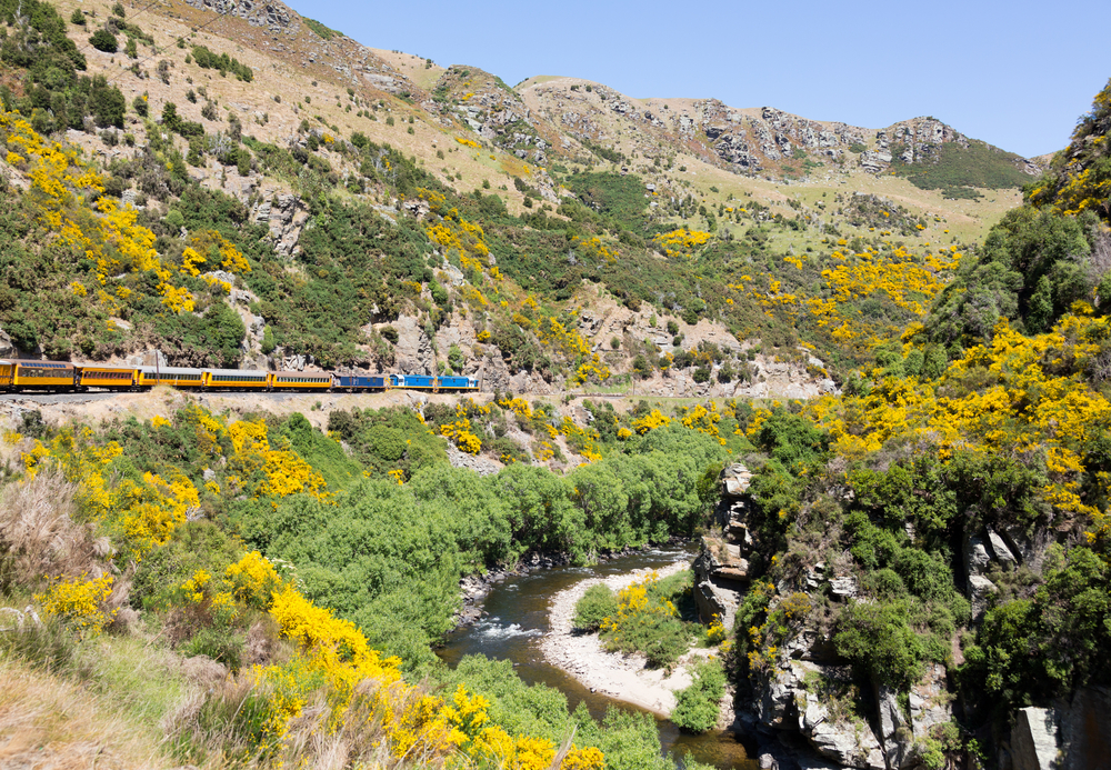 Taieri Gorge Railway - © Steve Heap/shutterstock Train