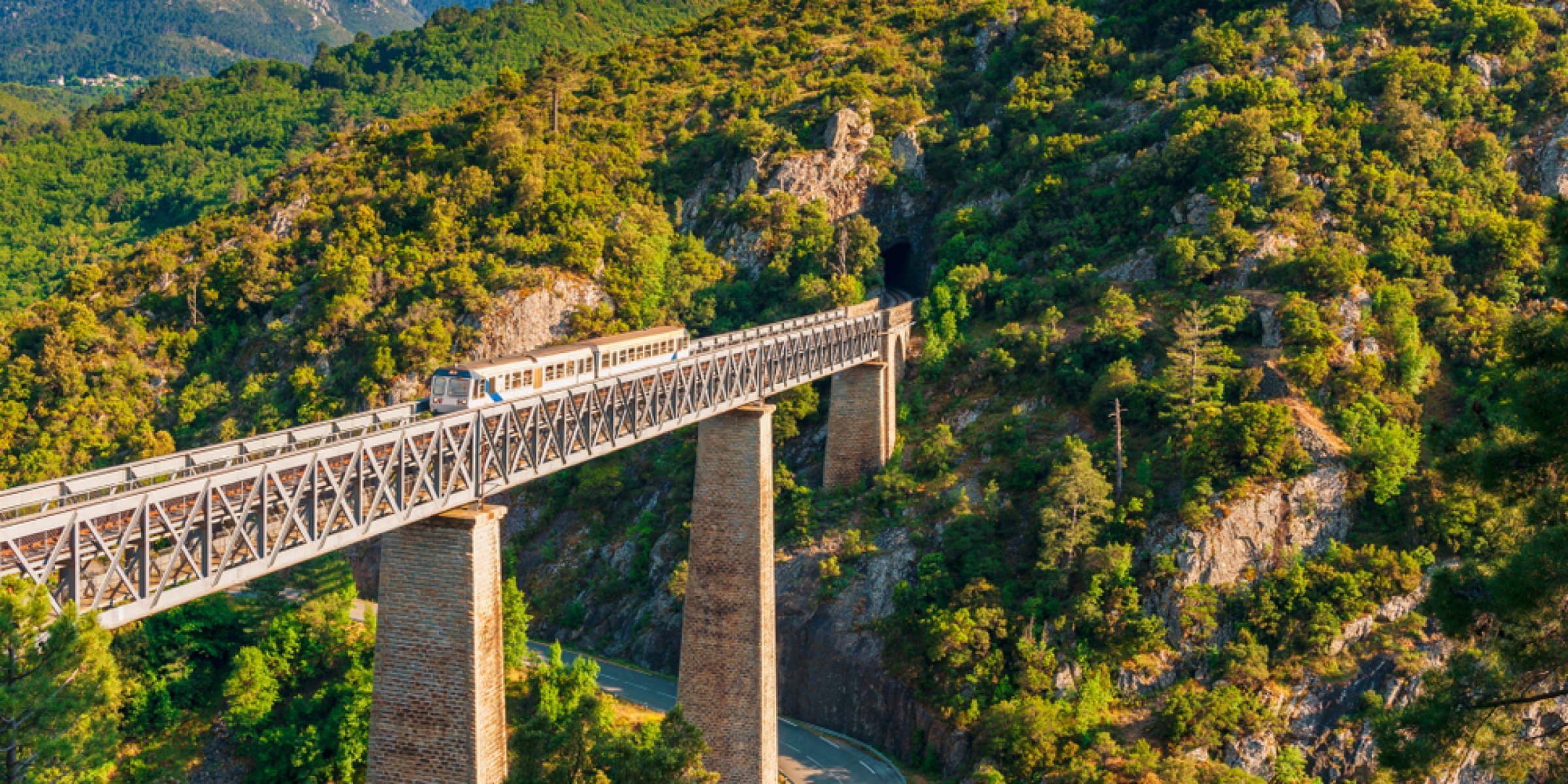 Train