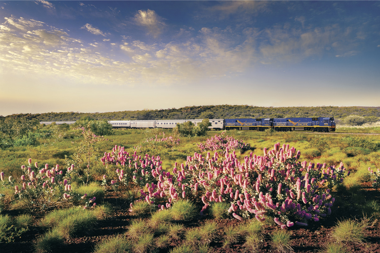 The Indian Pacific - © Great Southern Rail/Tourism Australia Train